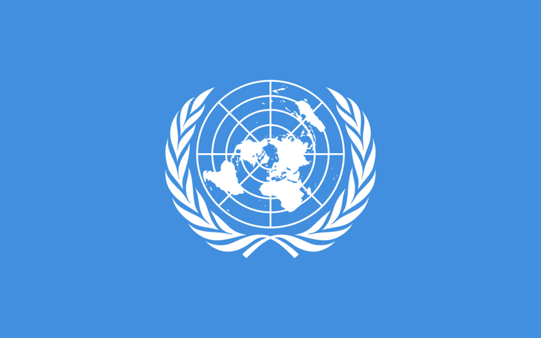 Proyecto: Decenio de la ONU
